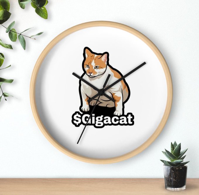 A wall clock with a wooden frame featuring an orange and white cat graphic and the text '$Cigacat' on the face, displayed against a white wall with plants.