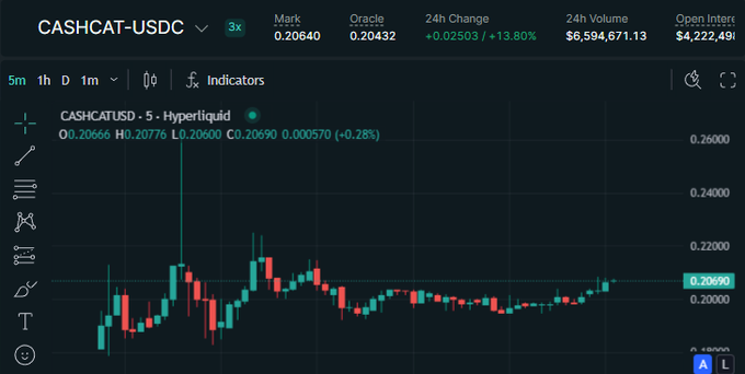 A candlestick chart for CASHCAT-USDC on Hyperliquid, showing a current price of 0.20690 with a 24h change of +13.80% and trading volume of $6,594,671.13.