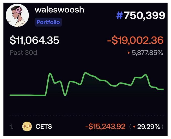 A portfolio screenshot for 'waleswoosh' showing a current balance of $11,064.35, a past 30-day loss of -$19,002.36, and a significant holding in CETS showing a -29.29% decrease.