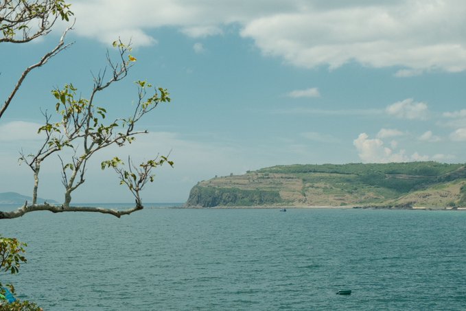 A scenic ocean view with a tree branch in the foreground, calm blue waters, and a green hilly coastline under a partly cloudy sky.