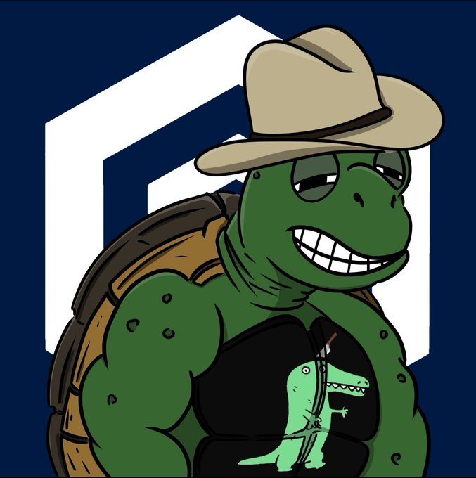 A cartoon illustration of a muscular green turtle wearing a cowboy hat and sunglasses, with a small green dinosaur on its black tank top, set against a dark blue background with a hexagonal logo.