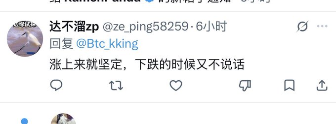 A user named "达不留zp" (@ze_ping58259) replies to @Btc_kking with the Chinese text "涨上来就坚定，下跌的时候又不说话" (firm when it rises, silent when it falls), criticizing @Btc_kking for being confident only during price increases but going quiet during price drops—matching the post's complaint about someone staying silent during a decline.