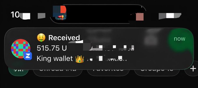 A notification shows "Received 515.75 U" to "King wallet 👑" from an unidentified sender, illustrating the frustration behind the caption's plea to ask before sending unsolicited payments to someone's wallet.