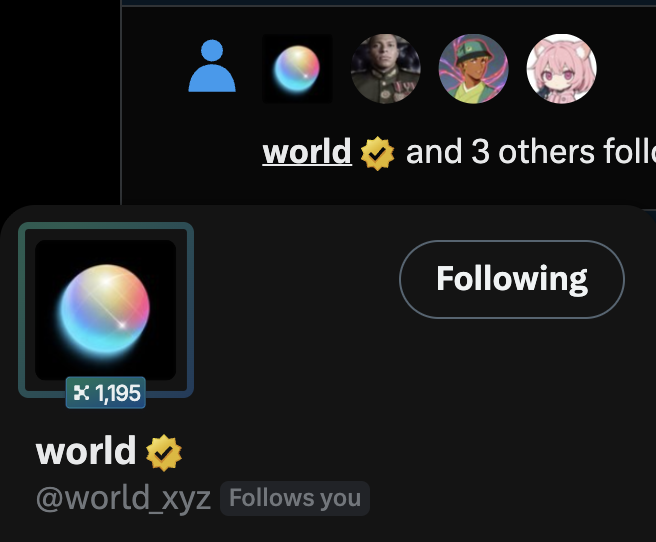 A Twitter profile popup showing the account "world" (@world_xyz) with a verified checkmark, 1,195 followers, and a "Following" button, indicating the account now follows the user after they were selected to receive a potential airdrop.

The image illustrates the moment the user discovered they were followed by @world_xyz, confirming the rumor mentioned in their post and setting the stage for their inquiry about whether they can build on the world.xyz platform.