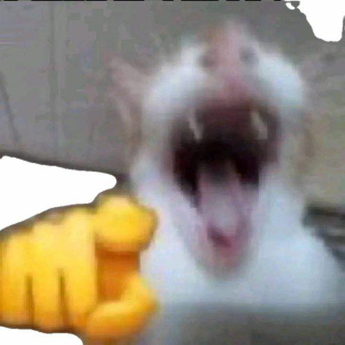 A blurry image of a white and gray cat with its mouth wide open, showing its teeth, with a yellow hand-drawn thumbs-up graphic overlaid.
