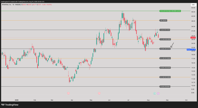 A TradingView daily candlestick chart for WhisperFun, Inc. (TO: WYFI) shows the price hovering near $22.36, with horizontal support zones marked at $21.47 and $19.96, the $21.47 level representing the critical must-hold area noted in the caption to prevent further downside.