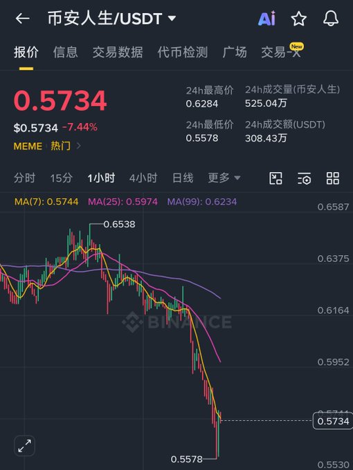 A Binance cryptocurrency trading chart for the 市安人生/USDT pair showing a price of $0.5734, down 7.44%, with a 24-hour high of 0.6284 and low of 0.5578.