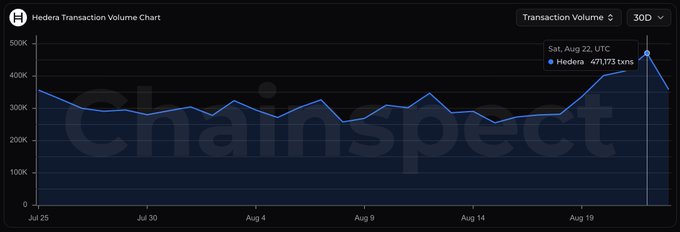 Hedera Transaction Volume Chart from Chainspect showing a 30-day view with a peak of 471,173 transactions on Saturday, August 22 UTC.