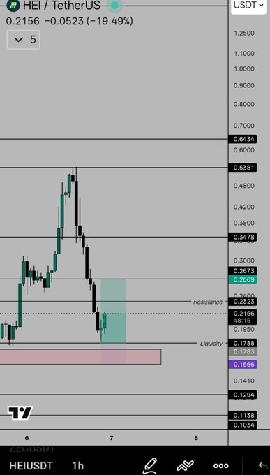 A cryptocurrency trading chart for HEI/TetherUS (HEIUSDT) showing a price of 0.2156, down 19.49% (-0.0523), with candlestick patterns, resistance and liquidity levels marked on the 1-hour timeframe.