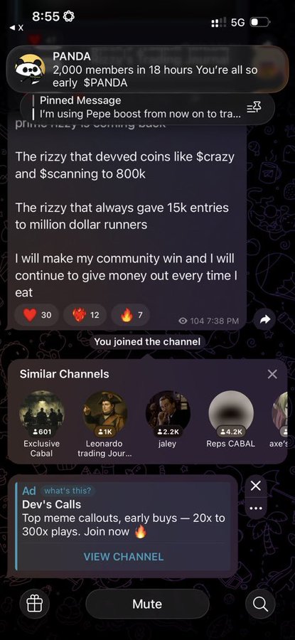 A screenshot of a Telegram channel called PANDA announcing 2,000 members and mentioning crypto tokens like $crazy and $scanning, with a similar channels section and an ad for 'Dev's Calls' below.