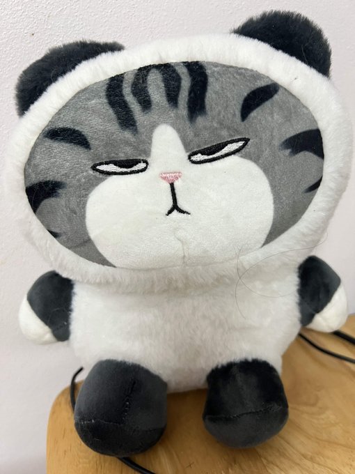 A plush toy of a grumpy-looking cat dressed in a black and white panda costume.