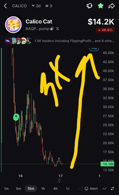 A cryptocurrency trading chart for 'Calico Cat' (ticker: BAQP...pump) showing a 48.6% drop to $14.2K, with someone drawing a yellow 'NK' or upward projection arrow on the price action.