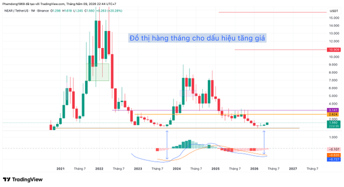A TradingView chart for NEAR / TetherUS on Binance is shown, featuring Vietnamese text 'Đồ thị hàng tháng cho dấu hiệu tăng giá' (Monthly chart shows signs of price increase), with the current price at 1.245.