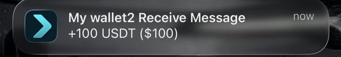 A smartphone notification displays "My wallet2 Receive Message +100 USDT ($100)" with a teal chevron icon. The image illustrates a crypto wallet receiving USDT, fitting the post's theme of the user being drawn into meme trading and crypto speculation.