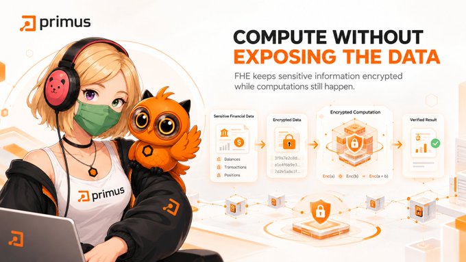 A Primus promotional graphic features an anime-style illustration of a blonde character in a mask and headphones with an orange cat, advertising FHE technology with the headline 'COMPUTE WITHOUT EXPOSING THE DATA.'