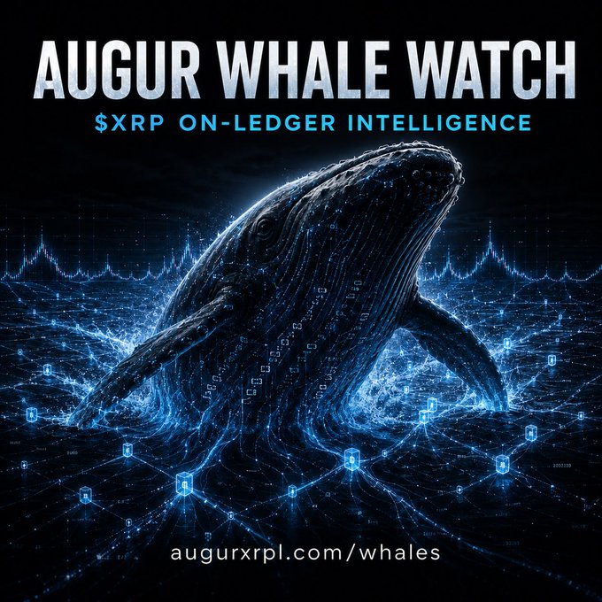 An advertisement for 'AUGUR WHALE WATCH - $XRP ON-LEDGER INTELLIGENCE' featuring a digital whale emerging from a data-themed ocean, with the URL augurxrpl.com/whales.