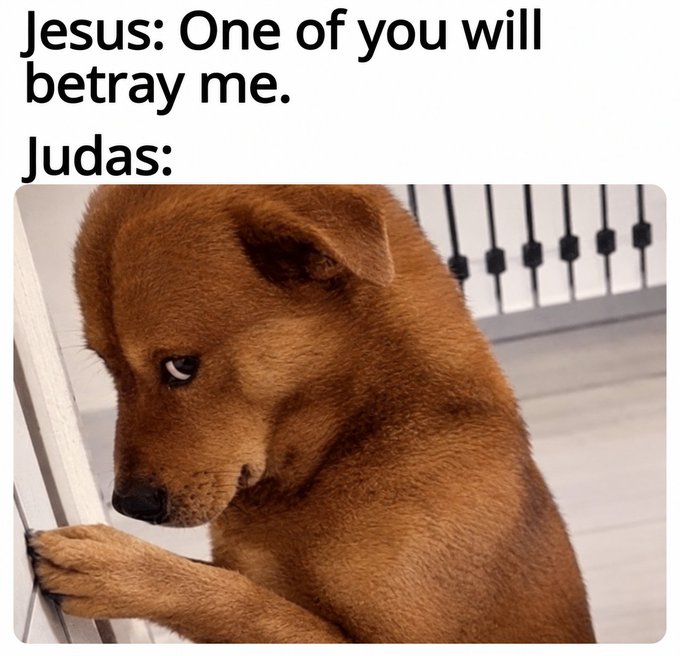 A meme featuring text "Jesus: One of you will betray me. Judas:" above a sad, guilty-looking brown puppy hiding its face behind a gate. The image humorously relates to the post about $YAP, suggesting the token may be the "Judas" quietly betraying while the broader market "chops."