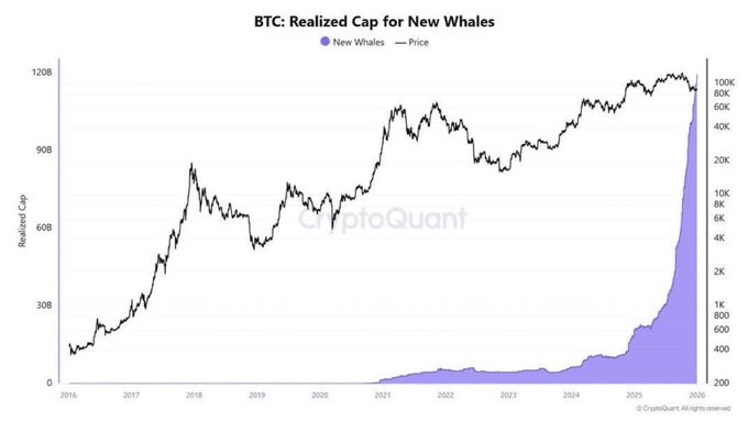A CryptoQuant chart titled "BTC: Realized Cap for New Whales" shows a dramatic, near-vertical surge in the realized cap for new Bitcoin whales (purple area) reaching approximately 100B by 2026, coinciding with Bitcoin's price climbing to around $100K. The chart visually supports the post's claim about an unprecedented increase in new BTC whale accumulation, highlighting how the purple shaded area spikes sharply upward at the far right of the timeline after remaining relatively flat for most of the period from 2016 onward.
