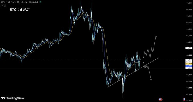 A TradingView candlestick chart for 'BTC' (Bitcoin) in 5-minute intervals from Bitstamp, showing a significant price dip and subsequent recovery with white arrows indicating market direction.
