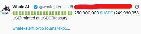 A Whale Alert tweet from @whale_alert reporting that 250,000,000 USDC ($249,960,353 USD) was minted at USDC Treasury, with a Solana transaction link.