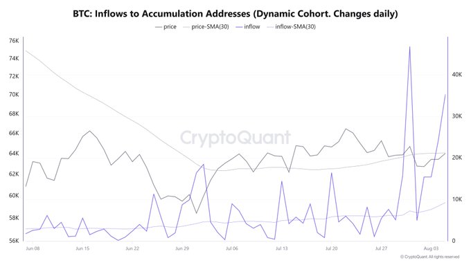 The image is a CryptoQuant chart titled "BTC: Inflows to Accumulation Addresses (Dynamic Cohort. Changes daily)," tracking BTC price alongside inflow data from June 8 to August 3, 2024. It shows a dramatic spike in inflows reaching roughly 45,000 BTC around early August, visually confirming the post's claim that whales have aggressively added approximately 38,000 BTC to their wallets.