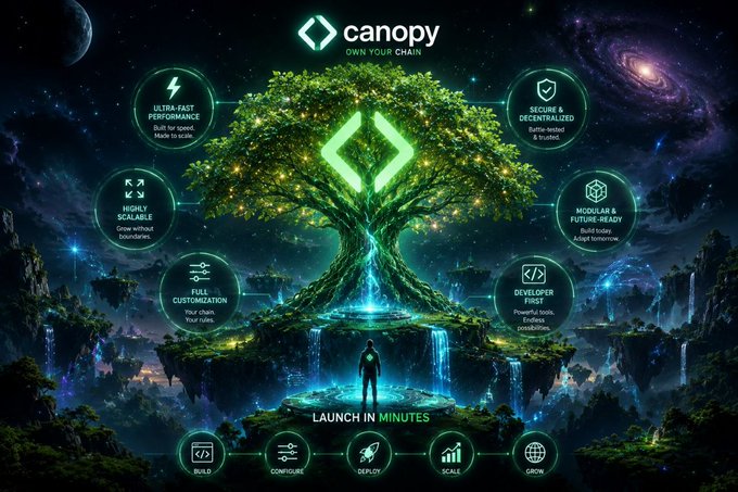 A cosmic fantasy infographic for Canopy (@CNPYNetwork) showcases a glowing tree of life surrounded by feature callouts including "ULTRA-FAST PERFORMANCE" ("Built for speed. Made to scale"), "SECURE & DECENTRALIZED," "MODULAR & FUTURE-READY," "DEVELOPER FIRST" ("Powerful tools. Endless possibilities"), "CUSTOMIZATION" ("Your chain. Your rules"), and "HIGHLY SCALABLE" ("Grow without boundaries"), with a central tagline "LAUNCH IN MINUTES" above a five-step process: Build, Configure, Deploy, Scale, Grow. The imagery of a figure standing beneath a luminous, interconnected tree visually reinforces the post's message of launching a sovereign Layer 1 blockchain ecosystem that grows independently—free from the infrastructure bottlenecks that hold Web3 back.
