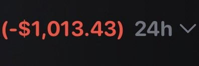 A dark screen displaying red text that reads '(-$1,013.43) 24h' with a downward arrow.