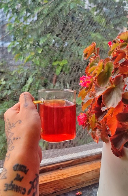 A tattooed hand holds a glass mug of red tea by a screen window next to a vibrant red and green begonia plant. Visible tattoos include 'CHANGE', 'BODY', and 'SOUL' on the forearm and wrist.