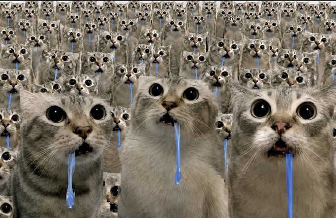 The image features a large group of cats with blue water dripping from their mouths. There are at least 15 cats visible in the scene, all facing different directions as they drink from the water sources provided for them. The cats appear to be engaged in various activities such as drinking and interacting with each other.