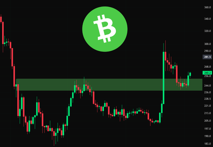 A Bitcoin Cash (BCH) candlestick chart shows a recent sharp rally from around $213 up to roughly $300, currently pulling back to about $260, with a highlighted green support zone between $240–$250 aligning with the post's claim of catching a strong upward move.