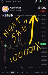 A mobile screenshots of a crypto chart showing Ca lico Cat (BgCP) with handwritten yellow text reading 'Next Sub 1000000X' and an arrow pointing upward.
