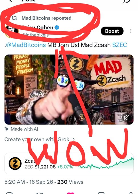 A screenshot of a social media post from 'Mad Blitcoins' reposted by 'Brian Cohen', featuring a photo of a man in a decorated hat pointing at the camera, with 'Zcash $ZEC $1,221.08 +8.07%' displayed and the word 'WOW' handwritten in red.