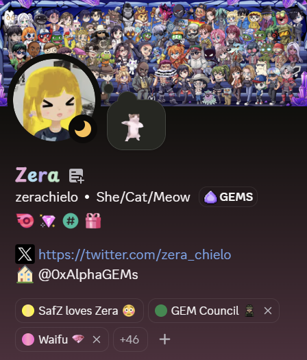 A screenshot of a Discord profile for a user named 'Zera' (zerachielo), featuring a blonde anime avatar, a banner filled with anime characters, and labels including 'She/Cat/Meow' and 'GEMS'.