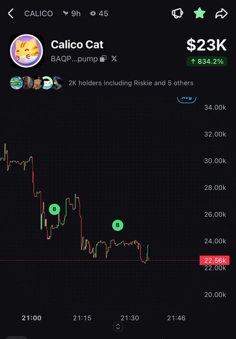 A trading chart for "Calico Cat" shows a market cap of "$23K" with an "834.2%" gain, displaying price action on the AX/SOL pair with notable dips and buy markers ("B").
