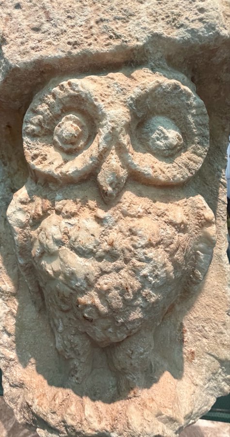 A weathered stone carving of an owl with prominent round eyes gazes stoically from a beige limestone block, embodying patient vigilance through its unblinking stare.

The owl's watchful stillness mirrors the post's message about market pain during consolidation—remaining perched and observant while traders grow restless with choppy, sideways action, just before a directional move higher.