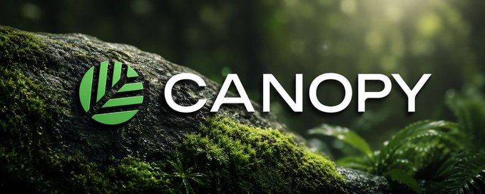 A Canopy logo featuring a green circular emblem with a leaf design, displayed against a mossy forest background.
