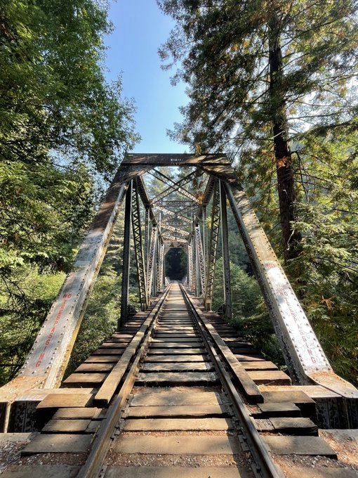 A first-person perspective looking down the center of an old steel truss railway bridge surrounded by lush green trees under a clear blue sky.
