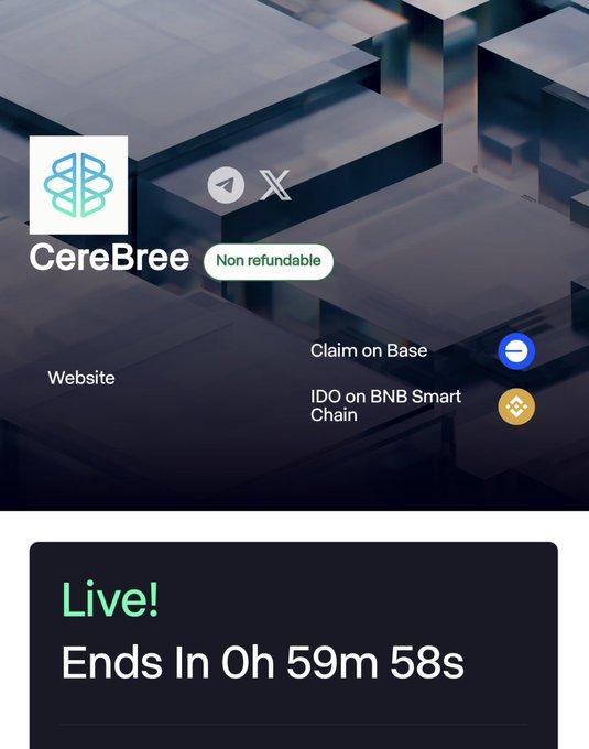 The image shows a CereBree IDO subscription page marked "Non refundable" and "Live!" with a countdown timer at "0h 59m 58s," featuring links for "Claim on Base" and "IDO on BNB Smart Chain," aligning with the post's urgent reminder that only 60 minutes remain for users to subscribe before the IDO ends.
