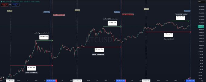 A Bitcoin (BTCUSD) price chart annotates four historical bear-market bottoms occurring in late 2018, March 2020, November 2022, and now late 2024, each marked with red arrows and "Looking for a bottom" labels near U.S. midterm election dates (11/6/2018, 11/3/2020, 11/8/2022), suggesting a recurring post-midterm bottoming pattern that supports holding cash to bid mid-to-late November.