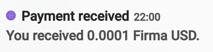 A simple payment notification reading 'Payment received 22:00 - You received 0.0001 Firma USD.'