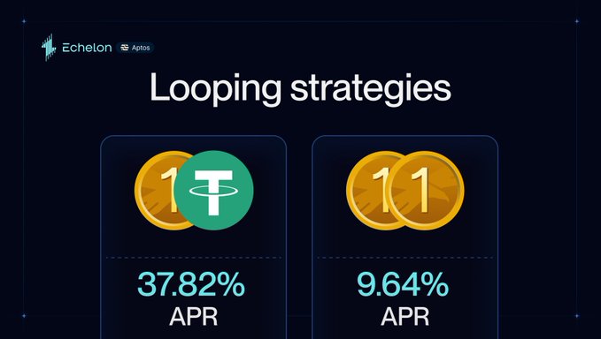 A financial infographic titled 'Looping strategies' by Echelon and Aptos, showing two investment options with USDT (37.82% APR) and 1inch token (9.64% APR).