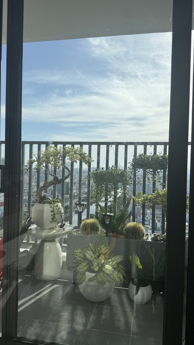 A high-rise balcony garden filled with potted succulents, cacti, and bonsai-style plants overlooks a sprawling city skyline under a bright blue sky. The serene morning view complements the post's cheerful "Gm" greeting, while the mention of a $GRVT long trade about to hit its 0.288 take-profit target reflects the optimistic, sunlit atmosphere of the scene.