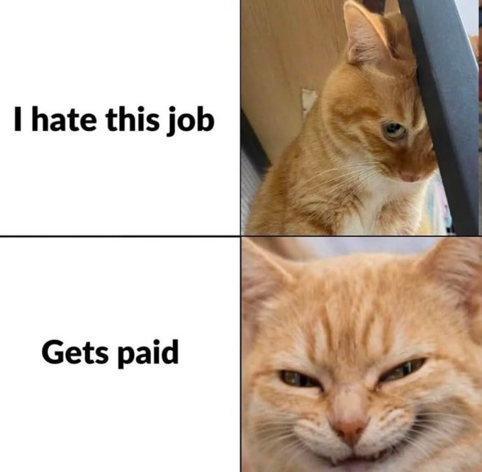 A two-panel meme featuring an orange cat making a grumpy, judgmental face, with the top panel labeled "I hate this job" and the bottom panel labeled "Gets paid."