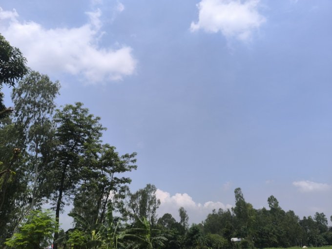 The image shows a beautiful view of trees under a blue sky, creating an impressionistic painting-like scene. The sky has some clouds scattered throughout, adding depth and dimension to the landscape. The trees are lush green, providing a sense of tranquility and natural beauty. The overall atmosphere is serene and peaceful, making it an ideal setting for a photograph or simply enjoying the outdoors.
