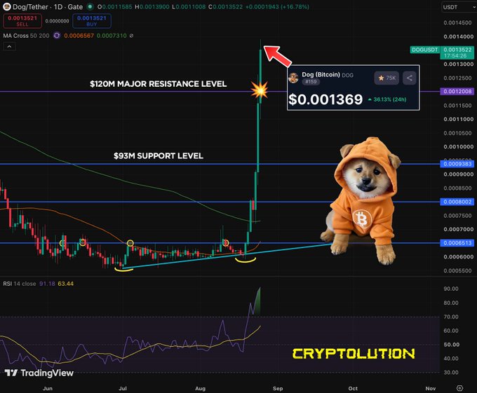 A trading chart for Dog/Tether (DOGEUSDT) showing a breakout above the $120M major resistance level, with a Shiba Inu dog in a Bitcoin hoodie and the text 'CRYPTOLUTION'.