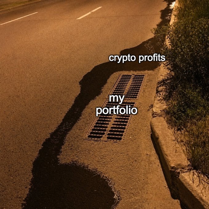 A nighttime street scene with a sewer drain labeled 'my portfolio' appearing tiny, while a large dark shadow labeled 'crypto profits' looms over it on the road.