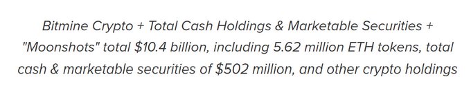 The image features a gray background with the text "bitmine + total cash holdings & marketable securities $10,042,000" printed below it along with the numbers, showing that the person invested $10,042,000. The text also mentions the funds being increased by another $250m and highlights the person who increased their cash reserves in this manner.