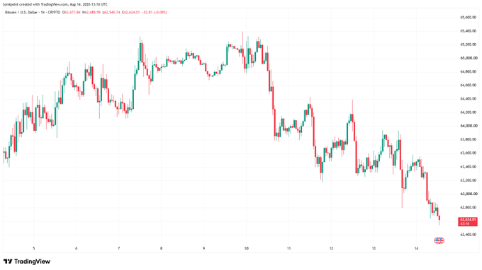 TradingView candlestick chart of Bitcoin created with TradingView.com on August 14, 2025, showing BTC/USD at $62,624.99, with prices ranging from approximately $62,400 to $65,400 over the displayed period.