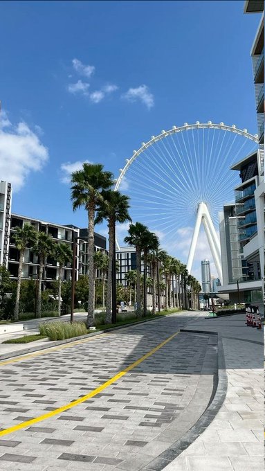 A scenic view of the Ain Dubai observation wheel in Dubai, framed by tall palm trees, modern buildings, and a paved walkway under a blue sky with scattered clouds.