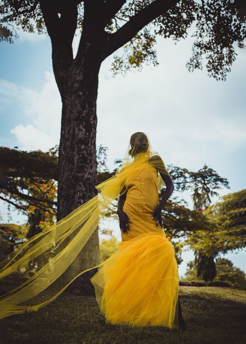 A woman in a flowing yellow tulle gown and veil poses dramatically under a large tree, with the dress trailing in the wind.